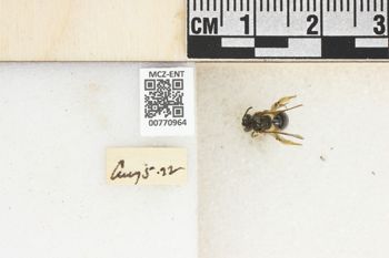 Media type: image;   Entomology 770964 Aspect: Labels